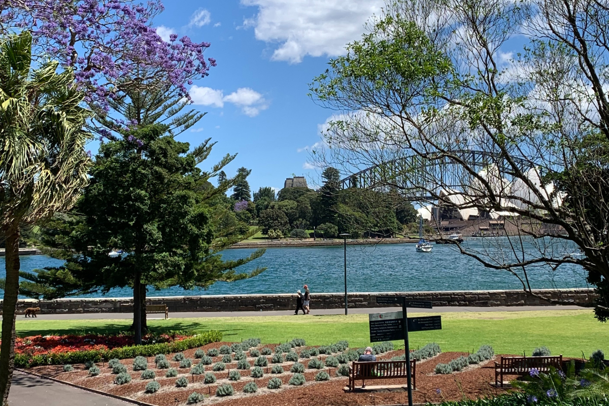 botanic gardens sydney picnics
